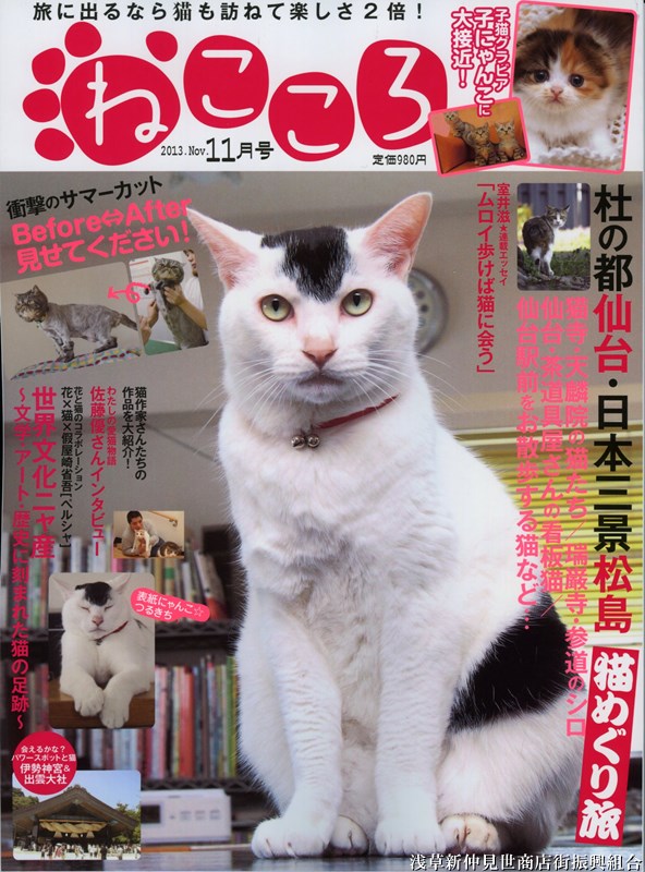 猫雑誌 ねこころ 11月号に新にゃかが紹介されました 浅草新仲見世商店街 しんなか